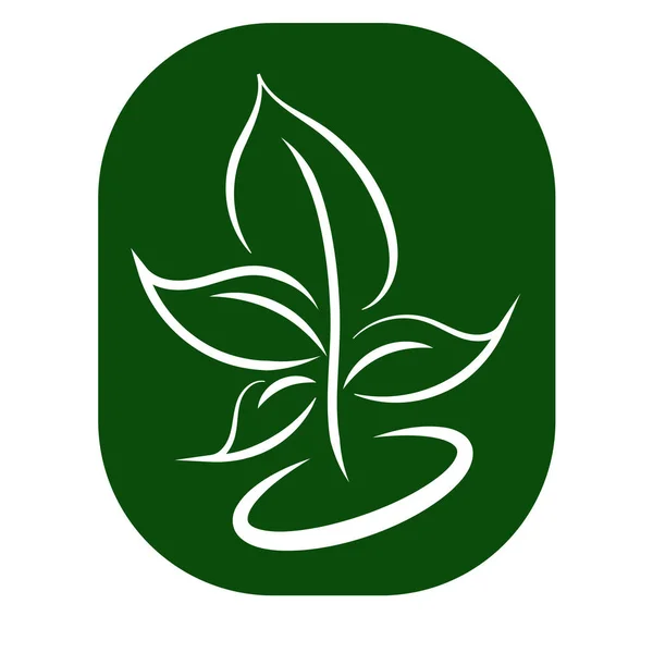 Green Leaf Eco Organic Logo Design Vektor Sablon Egyszerű Lapos — Stock Vector