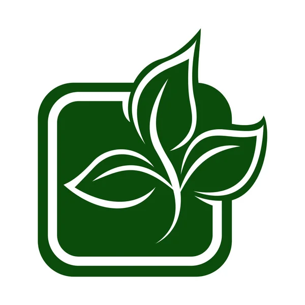 绿叶生态有机标志设计矢量模板 简单的扁平绿叶设计矢量利用自然产品保护森林的概念 — 图库矢量图片
