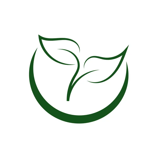 Green Leaf Öko Logo Design Vektor Vorlage Einfache Flache Grüne — Stockvektor