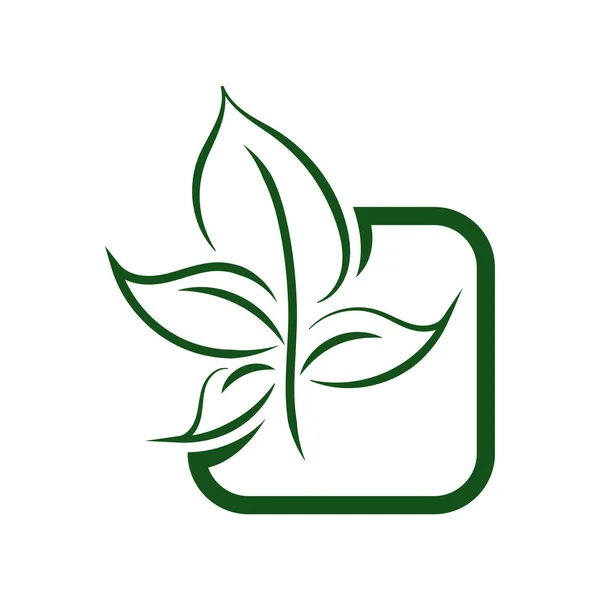 Green Leaf Eco Organické Logo Design Vektorové Šablony Jednoduché Ploché — Stockový vektor