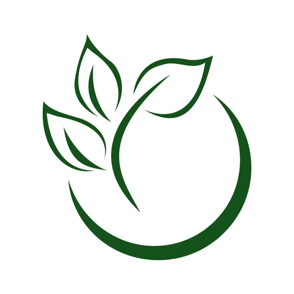 Green Leaf Eco Organische Logo Ontwerp Vector Template Eenvoudige Platte — Stockvector