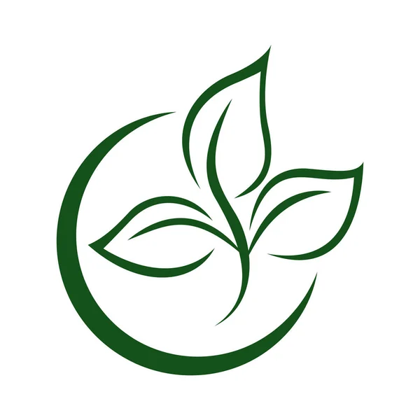 Green Leaf Eco Orgânico Logo Design Vector Template Simples Vetor — Vetor de Stock