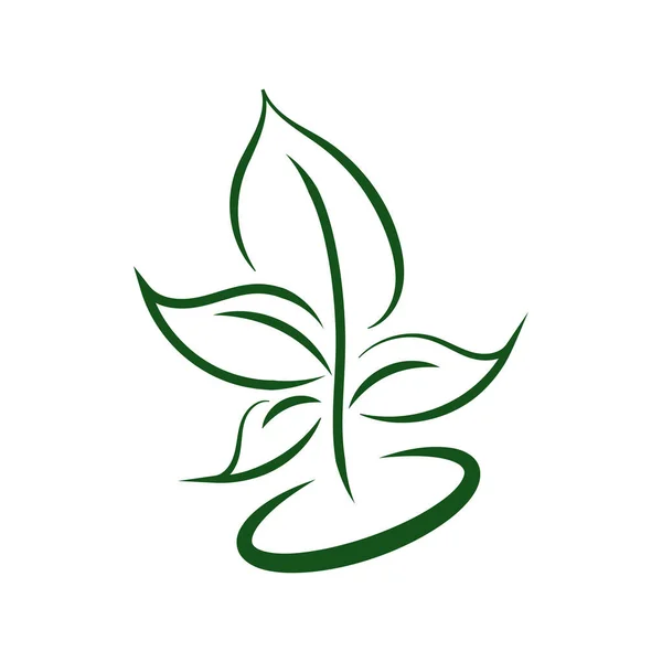 Green Leaf Eco Orgânico Logo Design Vector Template Simples Vetor — Vetor de Stock