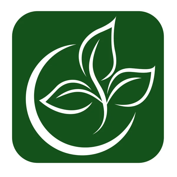 Green Leaf Eco Organic Modello Vettoriale Progettazione Logo Semplice Vettore — Vettoriale Stock