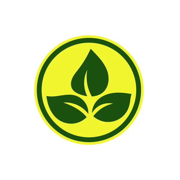 Green Leaf Öko Logo Design Vektor Vorlage Einfache Flache Grüne — Stockvektor