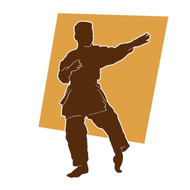 Genç, karate dövüş sanatları vektör silueti uyguluyor.