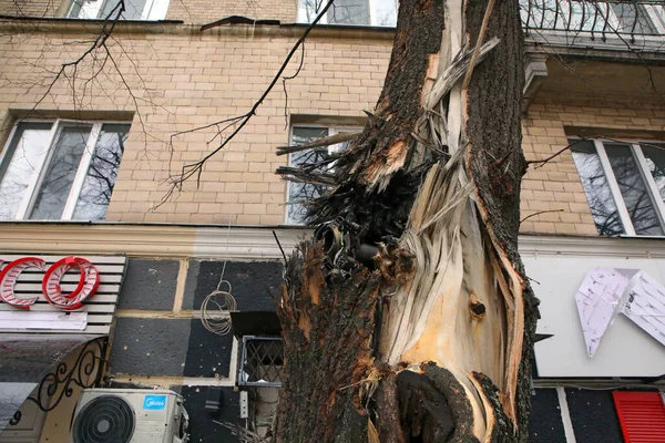 Kharkiv Ukraine February 2022 Shell Stuck Tree Trunk Seen Shelling — Free Stock Photo