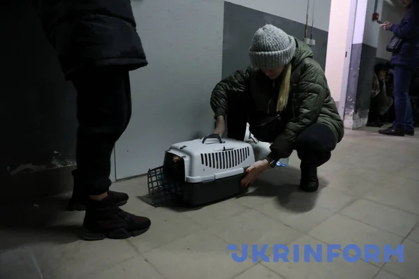 Kyiv Ucrania Febrero 2022 Una Mujer Controla Mascota Sótano Bloque — Foto de stock gratis