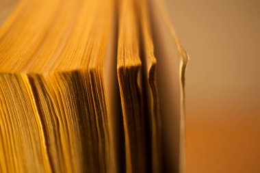 Köpek kulaklı karton kapaklı kitap, eski püskü sayfalar, eski moda ve yıpranmış görünüş.