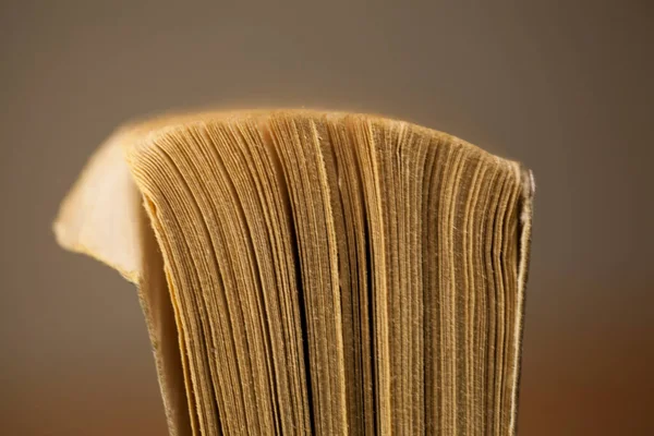 Dog Eared Paperback Book Old Ruffled Pages Vintage Worn Look — Stock Photo, Image