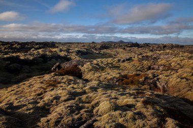 İzlanda 'daki engebeli antik lav tarlaları