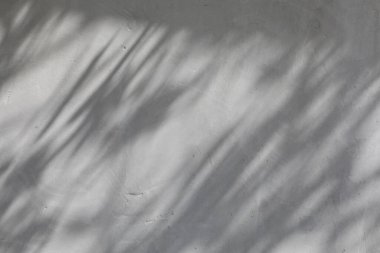 Gölgeli desenli beyaz duvar