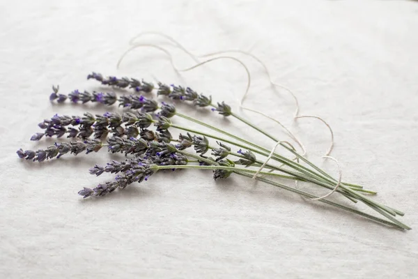Doğal keten kumaş üzerine bağlanmış lavanta filizleri