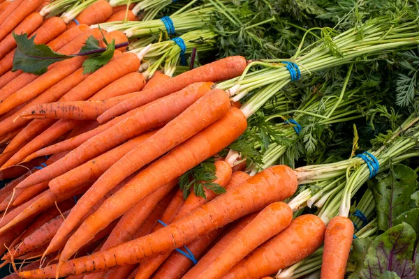 Großaufnahme Eines Stapels Frisch Geernteter Möhren Mit Grünzeug Bauernmarktstand — Stockfoto