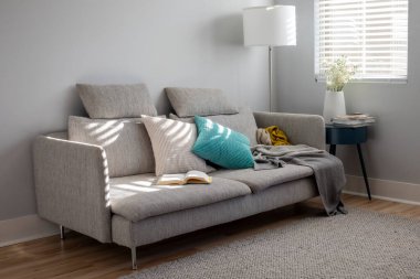 Grey colored modern sunlit living room with the couch, floor lamp, side table, carpet and window shades. Pillows, blanket and a book are on the couch.