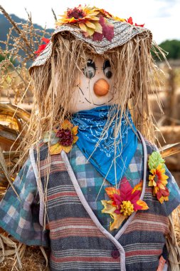 Closeup portrait of a scarecrow with long straw hair, in the straw hat and clothes on the pupkin patch