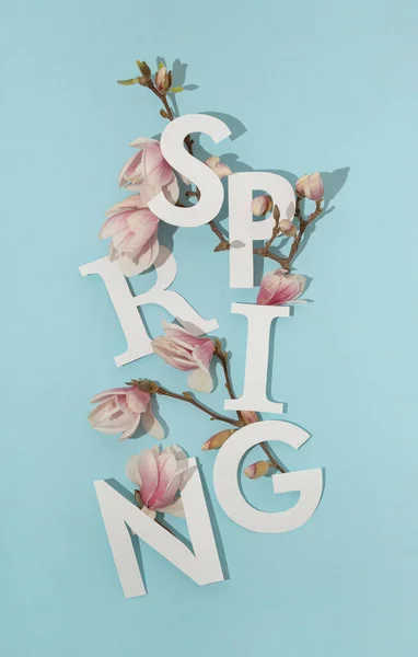 Sonnenbeleuchtete Frühlingsbuchstaben Mit Weißen Und Rosa Magnolienblüten Und Zweigen Vor — Stockfoto