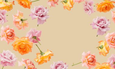 Kum rengi arka planda pastel renkli bahçe güllerinden yapılmış güzel desenler. Minimum organik doğa konsepti. Boşluğu kopyala.