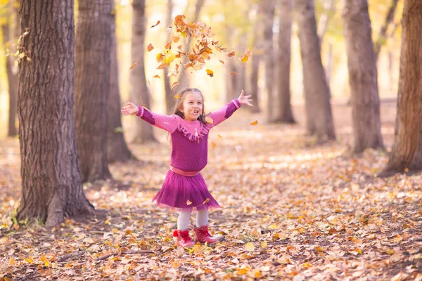 Cute little girl w jesiennym parku z pomarańczowym i żółtym kolorze liści — Zdjęcie stockowe