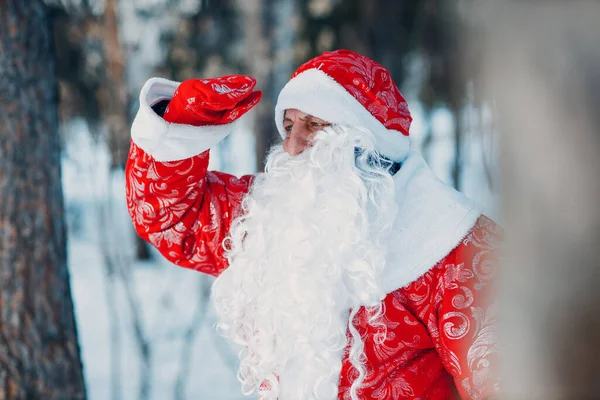 Babbo Natale con lunga barba bianca passeggiando nella foresta invernale — Foto Stock