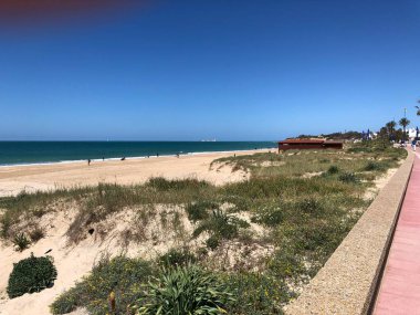 Cdiz 'de doğa, ağaçlar ve elbette hayatın tadını çıkarabileceğiniz sakin ve huzurlu bir ortam için de yer var..