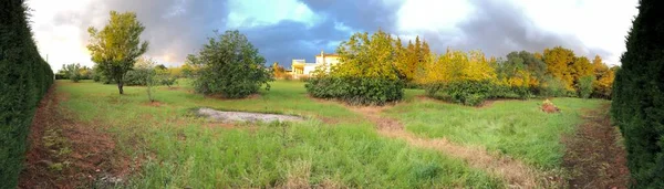Cdiz También Hay Espacio Para Campo Naturaleza Los Árboles Por — Foto de Stock