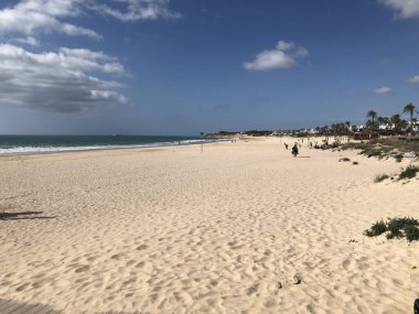 Cadiz, Chiclana ve Tarifa 'da plaj. Su ve yosun, kum.