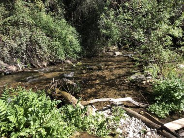 Majaceite nehir yolu, El Bosque Köyü..