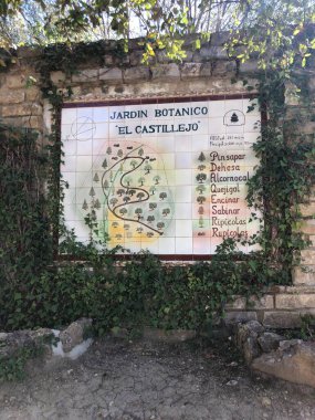 El Bosque Köyü 'ndeki botanik bahçesi. Gerçekten harika ağaçlar, bitkiler ve farklı morfoloji ve gelişime sahip çalılar..