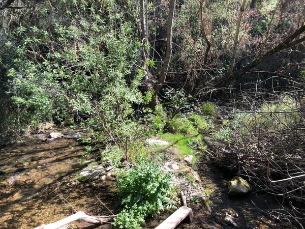 Majaceite nehir yolu, El Bosque Köyü..