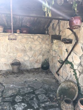 El Bosque Köyü 'ndeki botanik bahçesi. Gerçekten harika ağaçlar, bitkiler ve farklı morfoloji ve gelişime sahip çalılar..