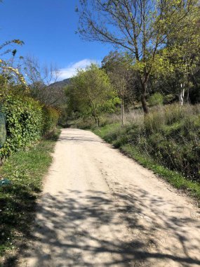 El Bosque Köyü 'ndeki botanik bahçesi. Gerçekten harika ağaçlar, bitkiler ve farklı morfoloji ve gelişime sahip çalılar..