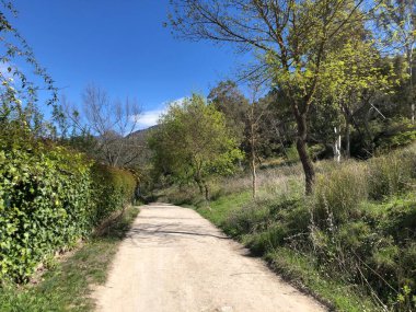 Majaceite nehir yolu, El Bosque Köyü.