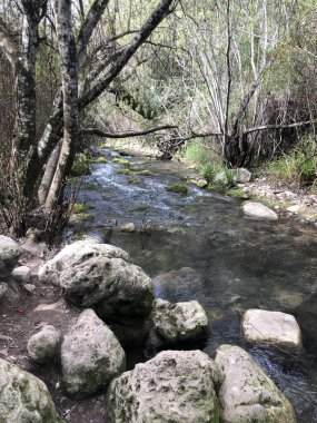 Majaceite nehir yolu, El Bosque Köyü.