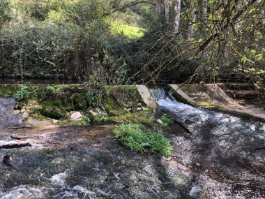 Majaceite nehir yolu, El Bosque Köyü.