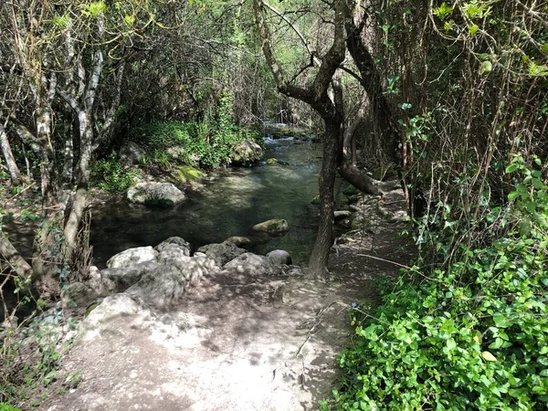 Cesta Řece Majaceite Bosque Village — Stock fotografie