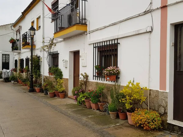 Imágenes Espacios Pueblo Bosque Hermoso Pueblo Las Montañas Cádiz Fuentes —  Fotos de Stock