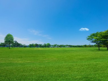 Mavi gökyüzü ve otlak .