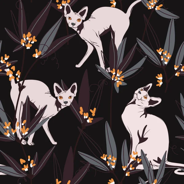 Szőrtelen Szfinx macska varrat nélküli minta otthon állat -ban növények, fabrcis sötét .background — Stock Fotó