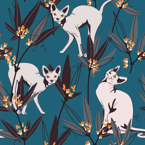Szfinx, macska Szőrtelen tenyészt zökkenőmentes minta, macska szerető print -ban kék szín — Stock Fotó