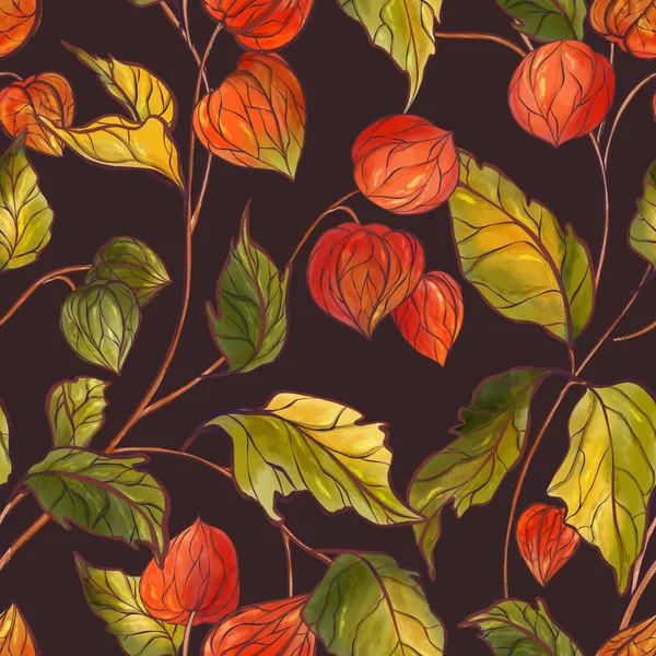 Herfst fysalis planten donker, Rijp fysalis bush naadloos patroon. Rode bessen boerderij achtergrond herfst ontwerp, herfst Chinese lantaarn bloei — Stockfoto
