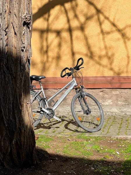 Le vélo se tient contre le mur avec des ombres des branches de l'arbre — Photo