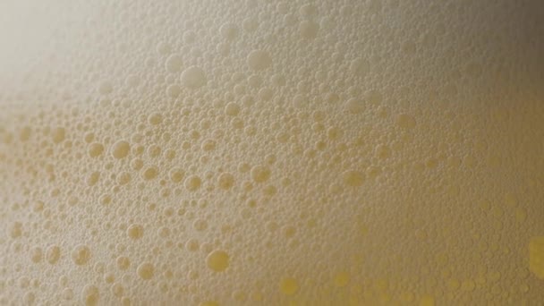 Bière Avec Bulles Dans Verre Ralenti — Video