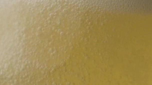 Bier Met Belletjes Het Glas Slow Motion — Stockvideo