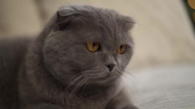 Seyşel Adaları 'nda yatların üzerinde uçmak. Arial görünüm