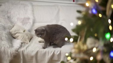 Seyşel Adaları 'nda yatların üzerinde uçmak. Arial görünüm