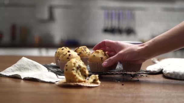 Muffingebäck Mit Schokolade — Stockvideo