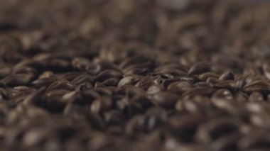 Yakın plan: koyu arpa yavaşça dönüyor.