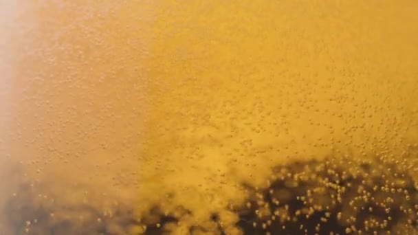 Close Pouring Light Beer Bubbles Glass Slow Motion — Stock Video