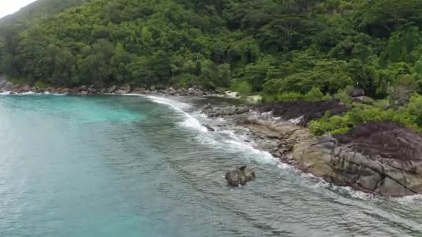 Utsikt Fra Luftfartøy Seychellene Stranden – stockvideo